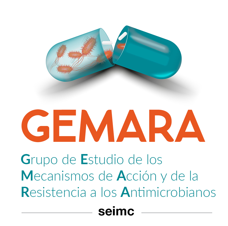 Imagen del grupo